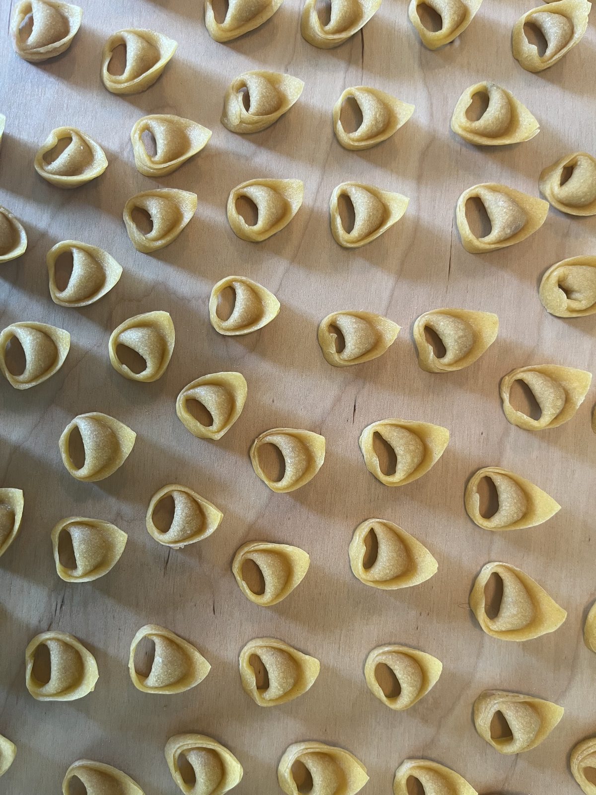 Rows of freshly folded tortelloni catching the afternoon light on a wooden board.